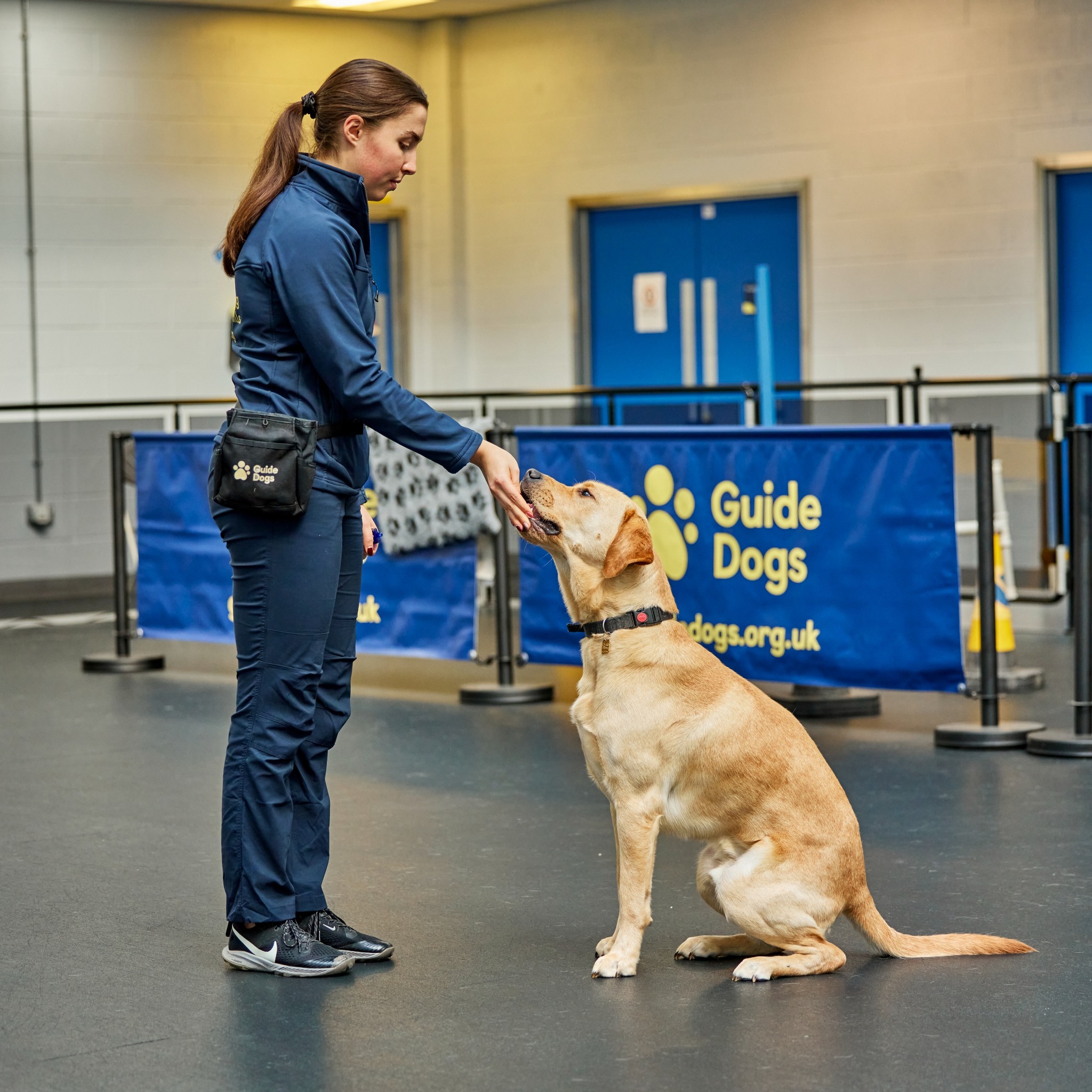 Guide Dogs Tour and Ena Mill