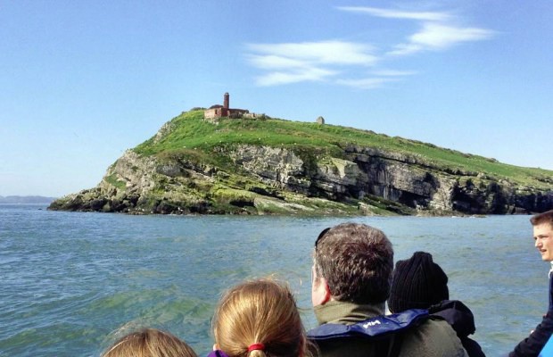 Travel Club Puffin Island
